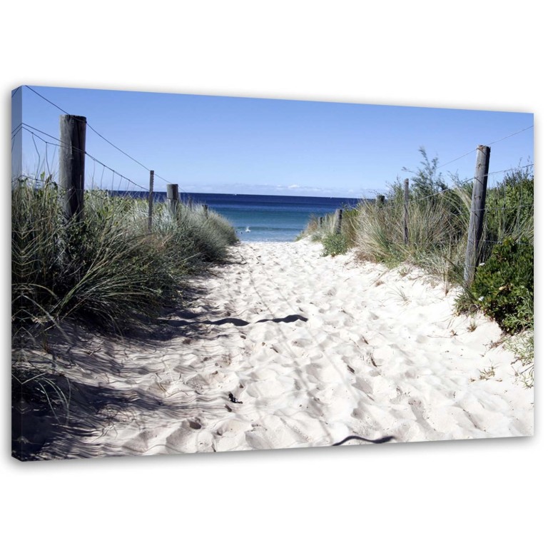 Canvas print, Dunes path beach sea