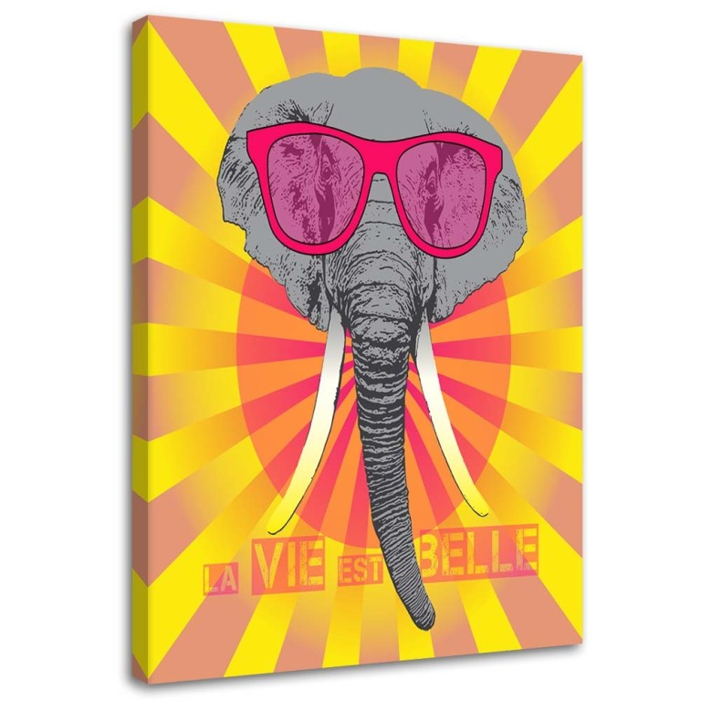 Canvas print, Colourful Elephant with Glasses