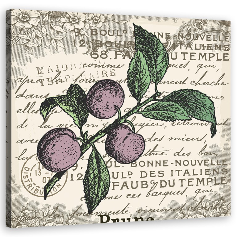 Canvas print, Plum vintage