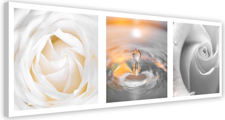 Canvas print, White Roses Flowers Panorama