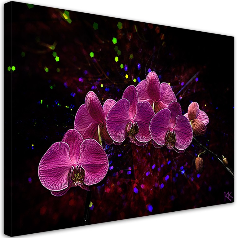 Canvas print, Orchid on dark background