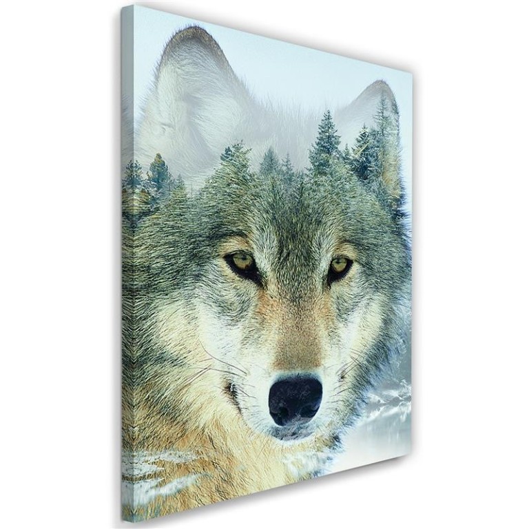 Canvas print, Wolf Animal Forest Nature