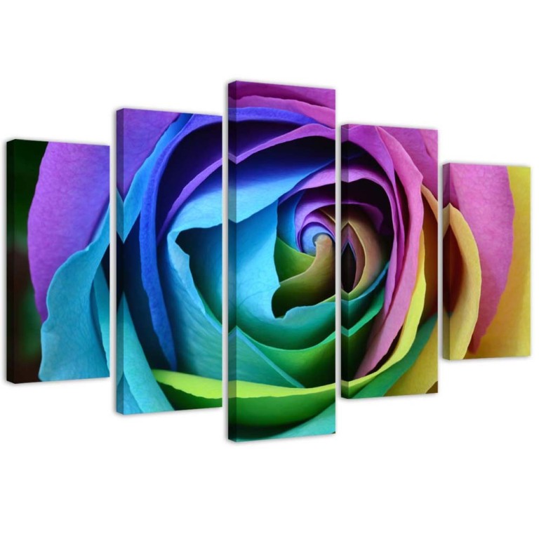 Five piece picture canvas print, Rose Flower Coloured