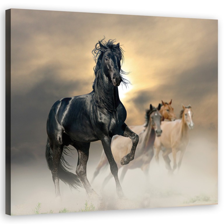 Canvas print, Herd of horses