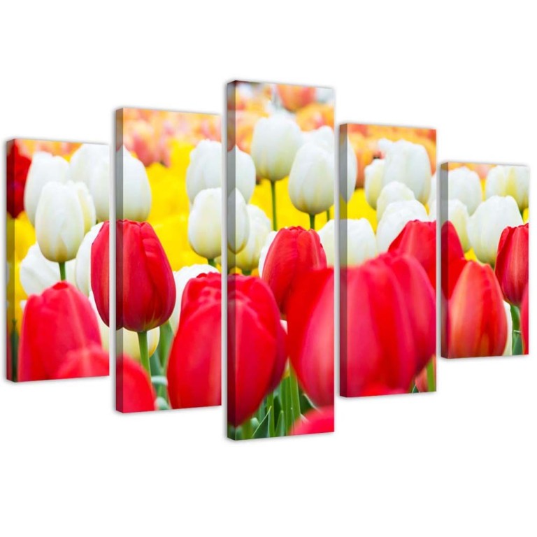 Five piece picture canvas print, Tulip Red White