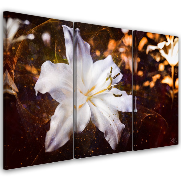 Three piece picture canvas print, White lily on brown background