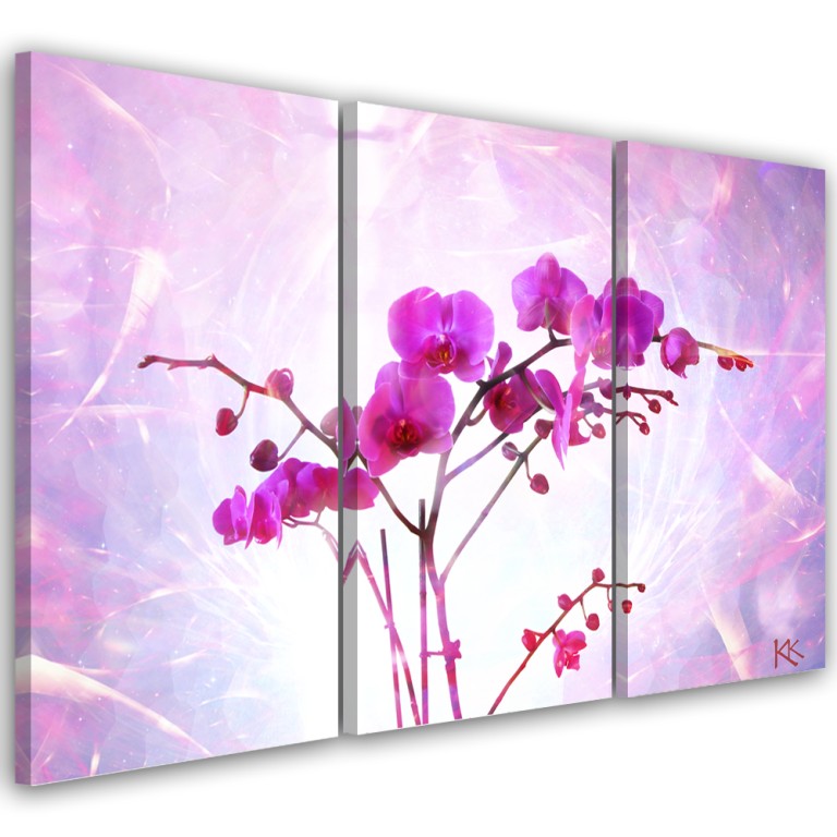 Three piece picture canvas print, Orchid flower