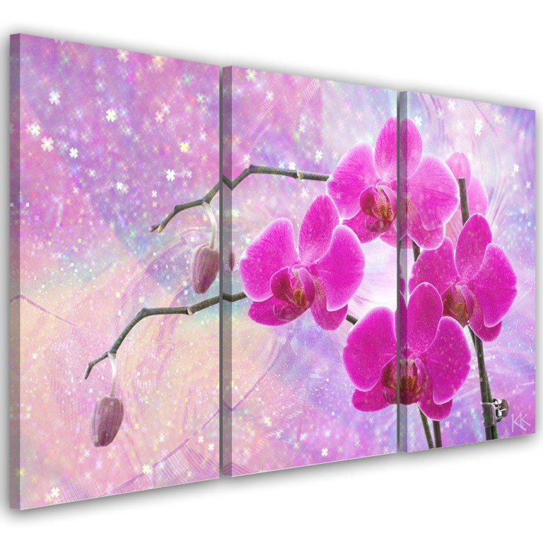 Three piece picture canvas print, Orchid flower abstract