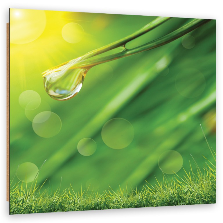 Deco panel print, Dew on the grass