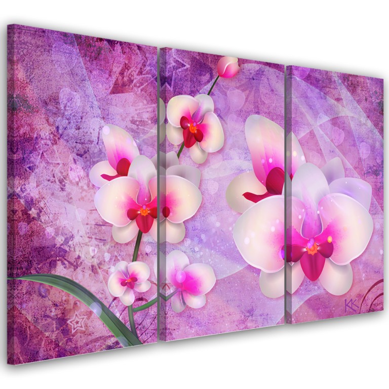 Three piece picture canvas print, Orchid flower abstract