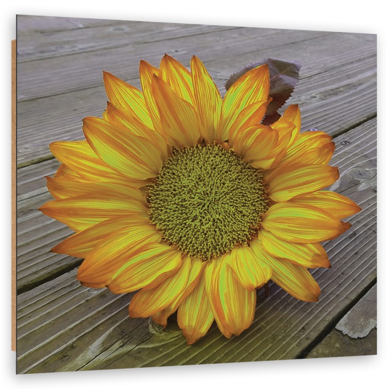 Deco panel print, Yellow sunflower