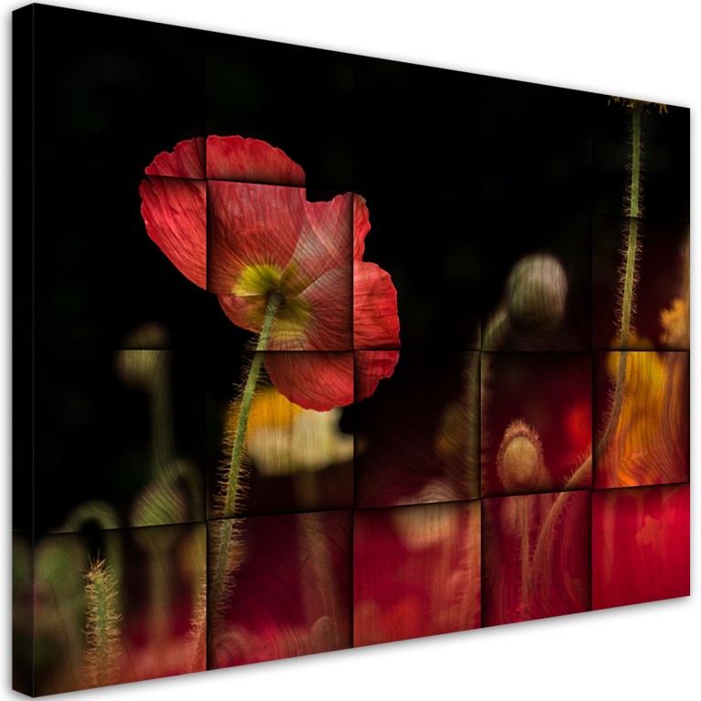 Canvas print, Red poppy flower