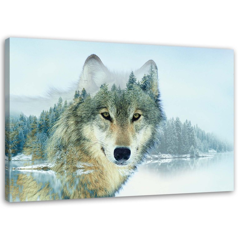 Canvas print, Wolf Animal Nature