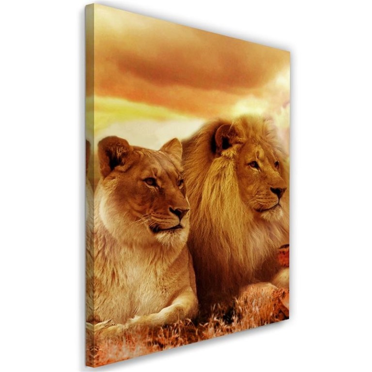 Canvas print, Lions Africa Animals