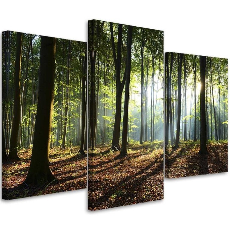 Three piece picture canvas print, Forest Landscape Nature