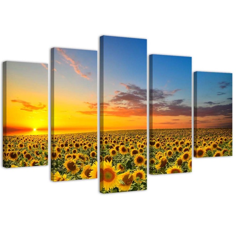 Five piece picture canvas print, Sunflowers sunset