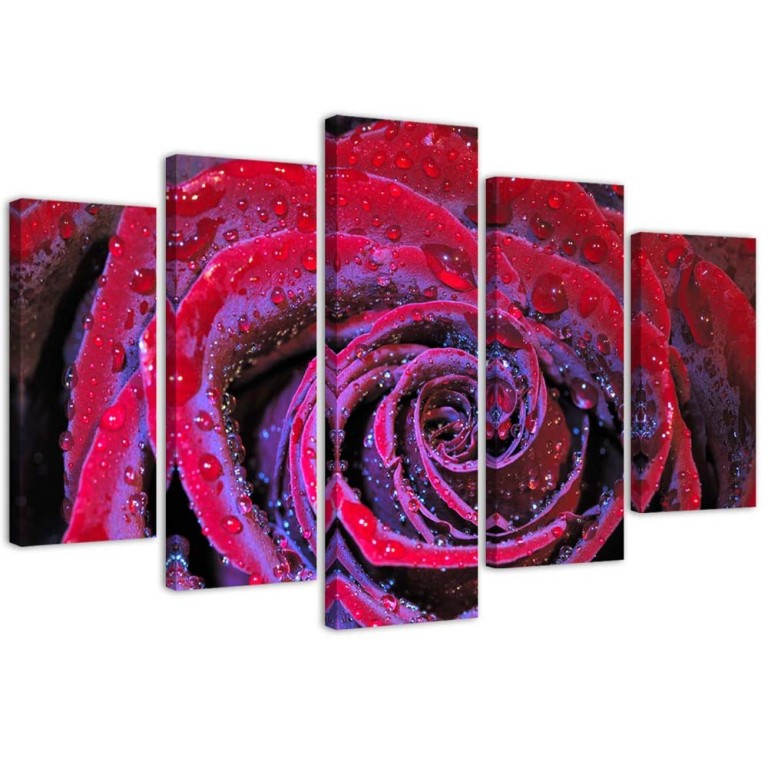Five piece picture canvas print, Rose Blossom Red