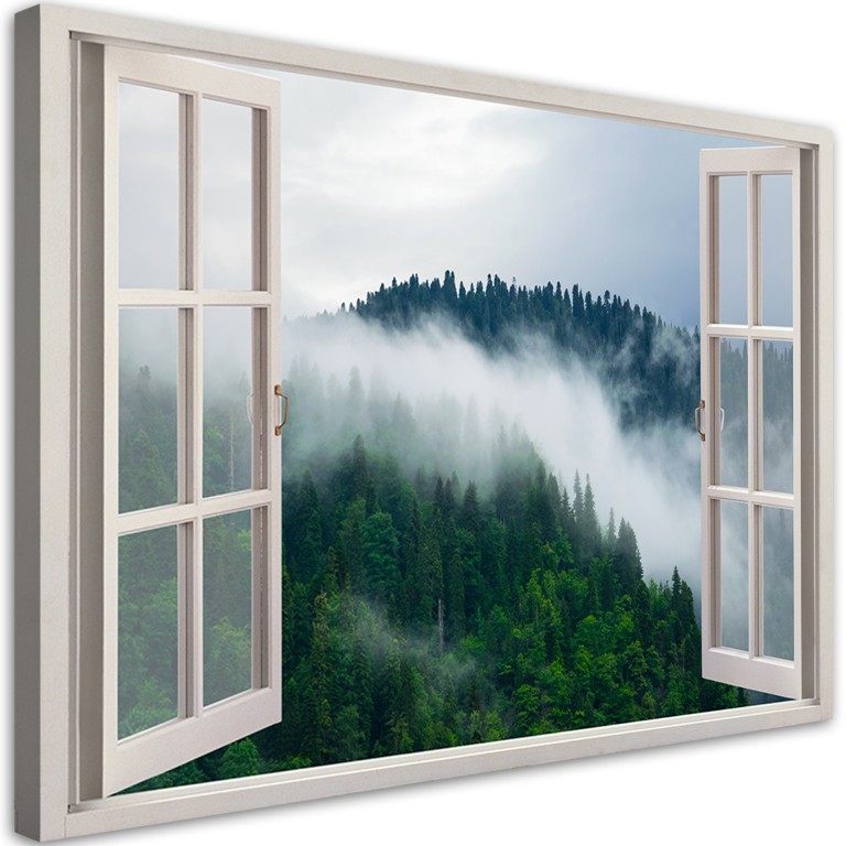 Canvas print, Forest in fog view from the window