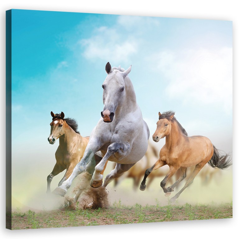 Canvas print, Galloping horses