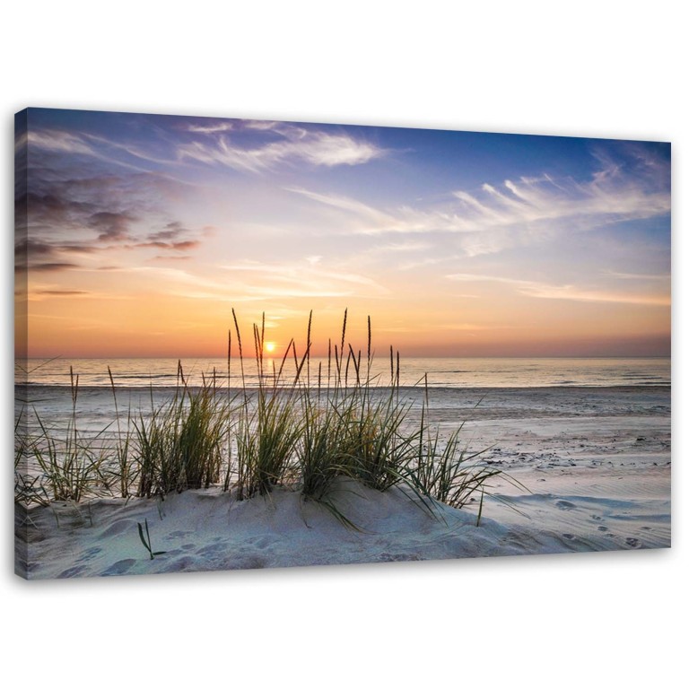 Canvas print, Beach Sea Grass Sunset