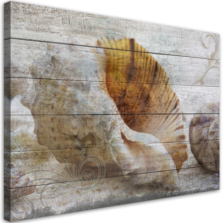 Canvas print, Vintage style shells