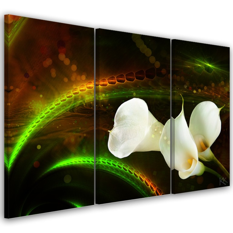 Three piece picture canvas print, Bia��e kwiaty na br��zowym tle