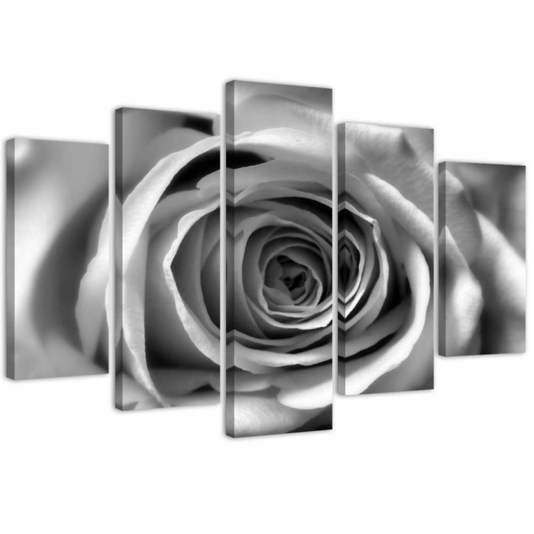 Five piece picture canvas print, Rose Blossom Black and White