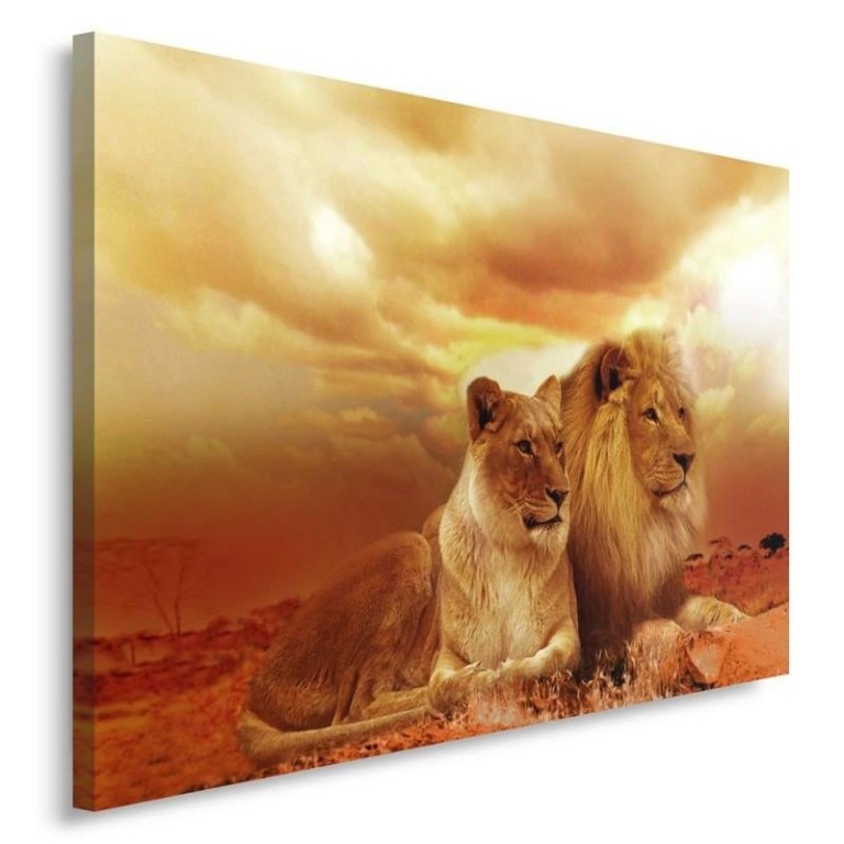 Canvas print, Lions Animals Africa Brown