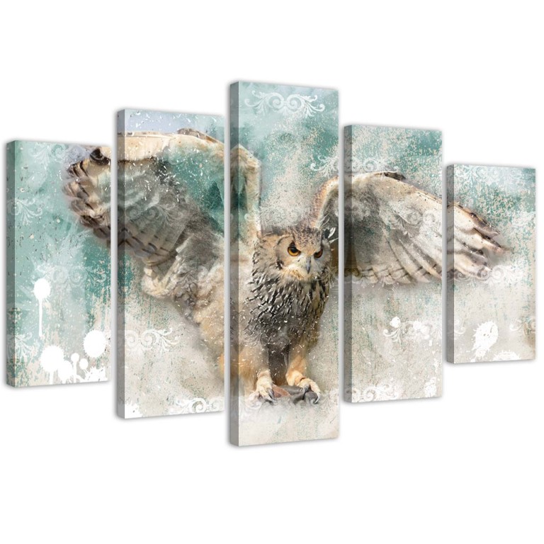 Five piece picture canvas print, 5 pieces Owl Birds Nature Animals