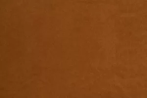 Vocal 01