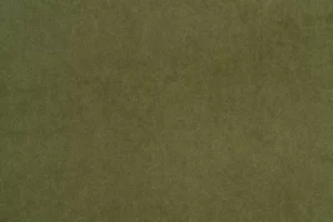 Vocal 11