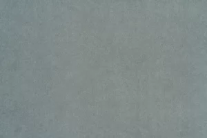 Vocal 22