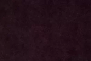 Zoya 04