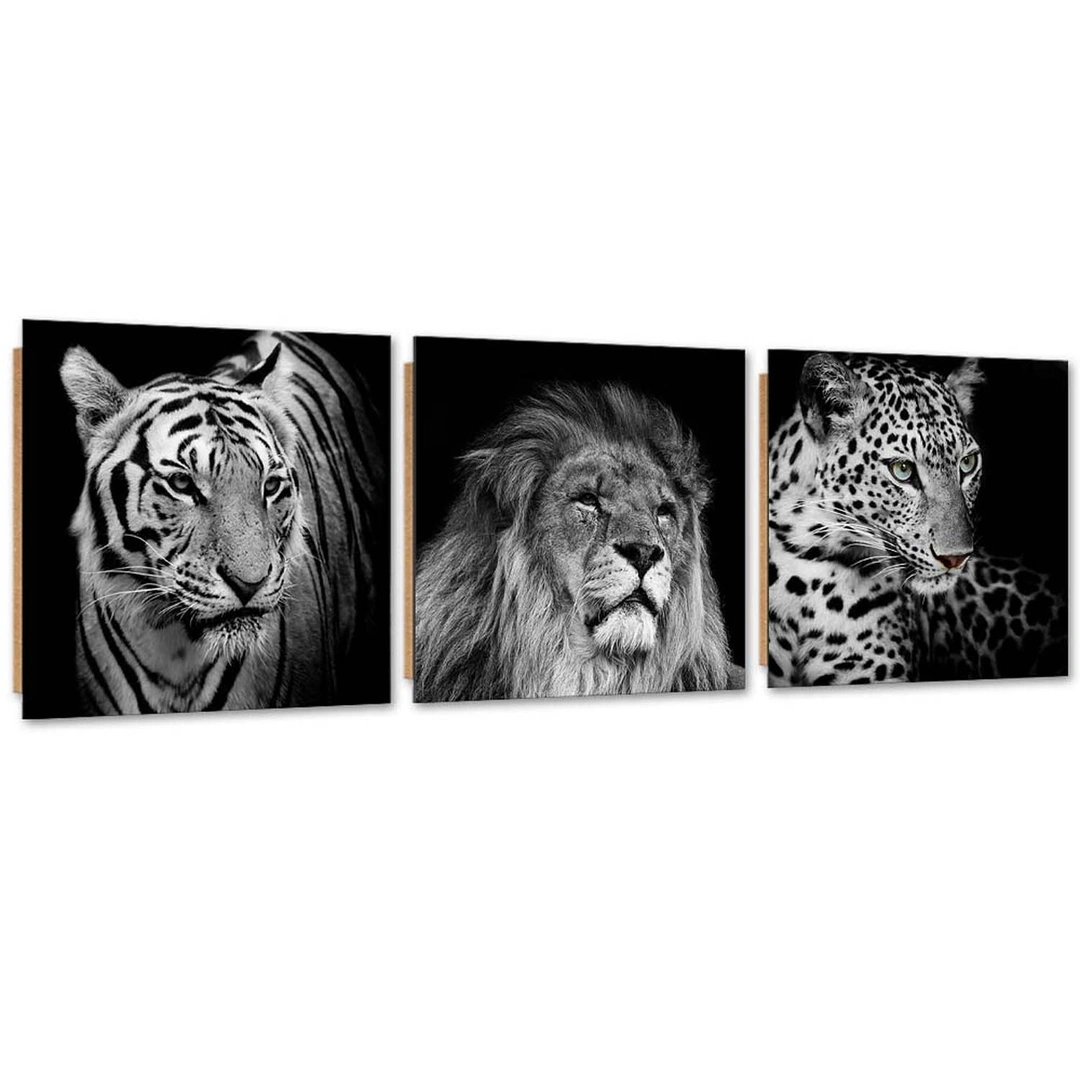 Set of three pictures deco panel, Black and white predatory animals