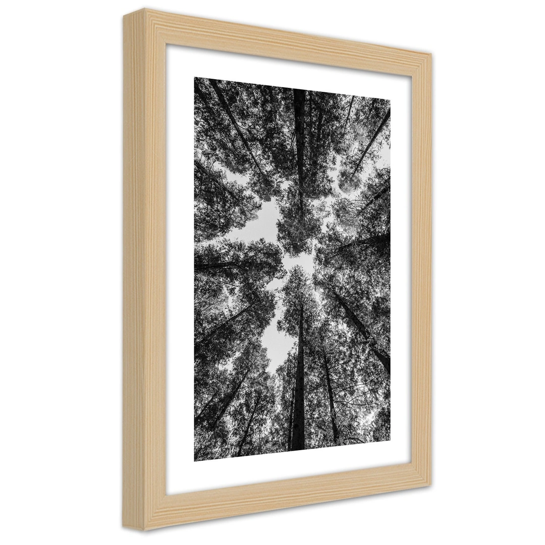 Picture in frame, Crowns of trees