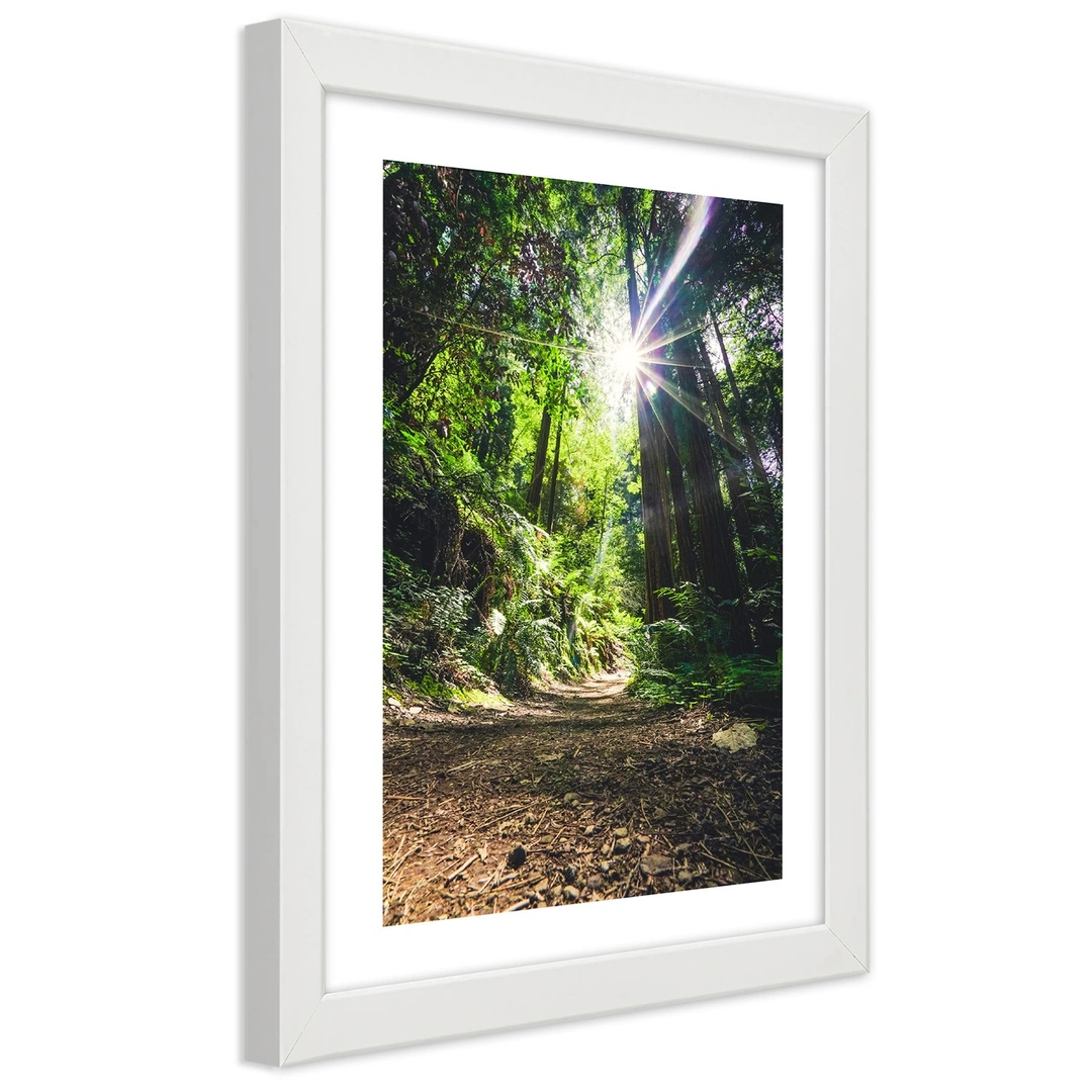 Picture in frame, Path in a dense forest