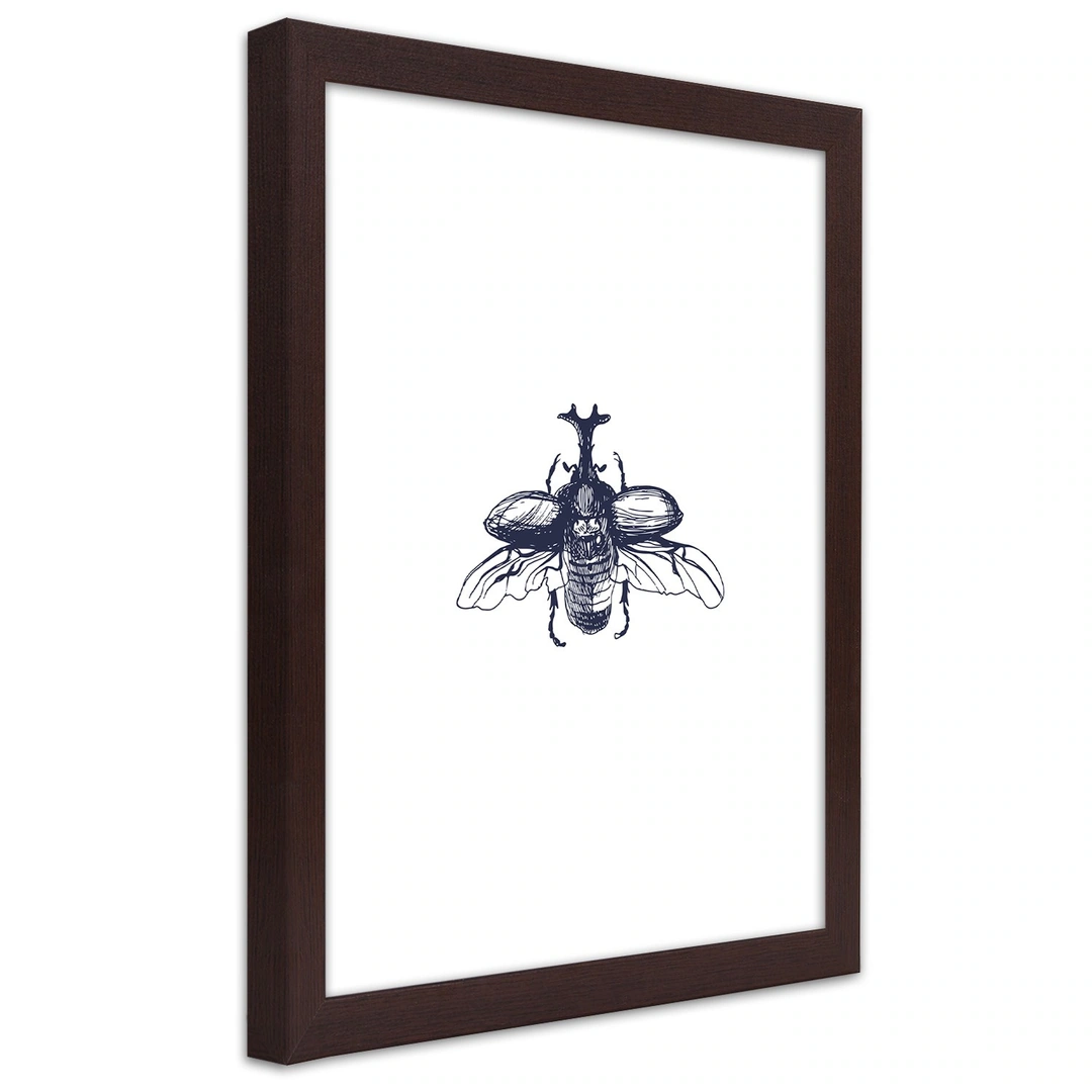 Picture in frame, Flying beetle