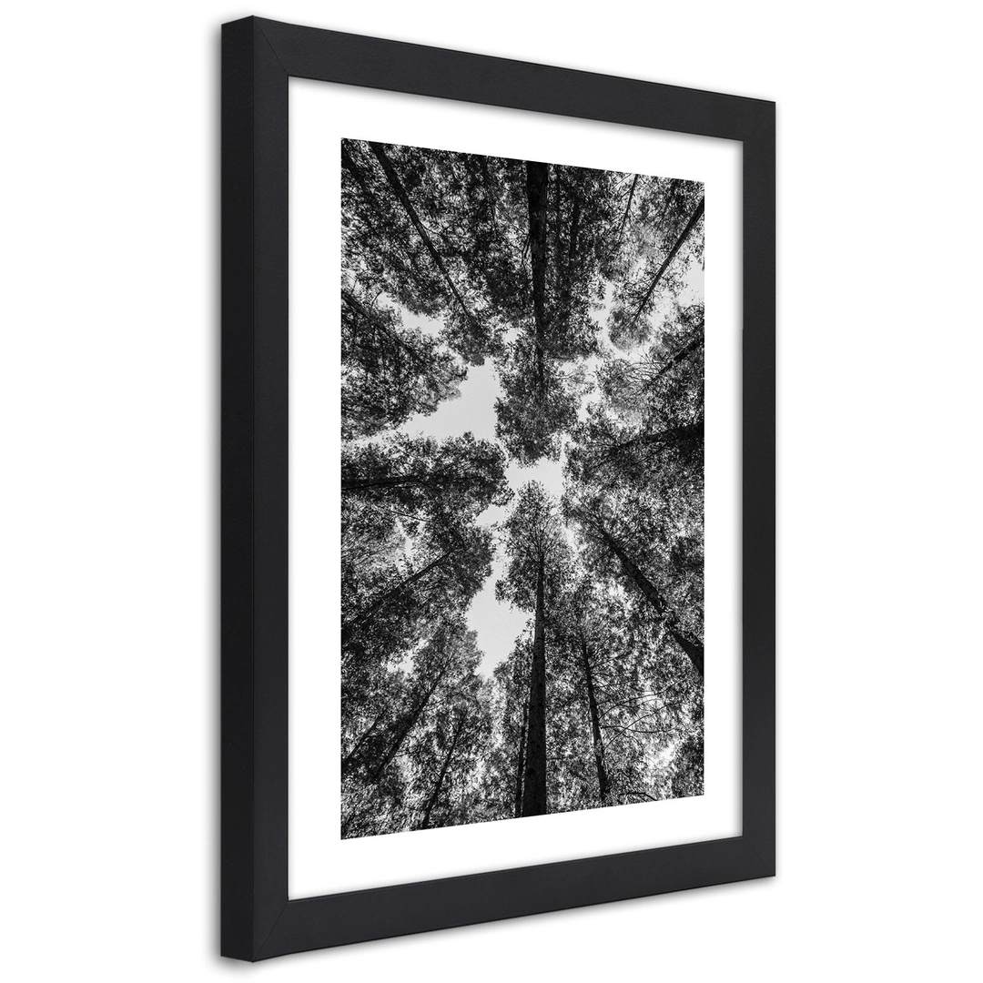 Picture in frame, Crowns of trees