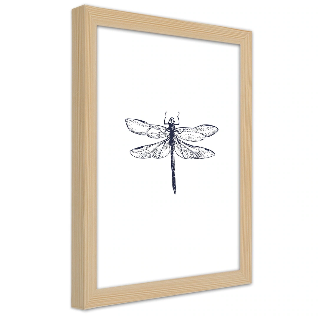 Picture in frame, Dragonfly drawn