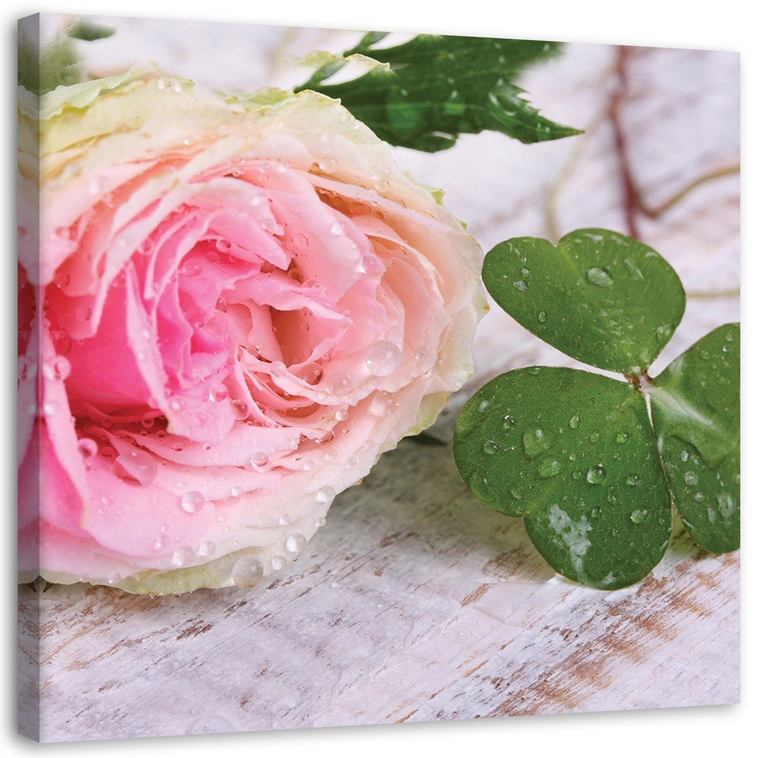 Canvas print, Rose and clover