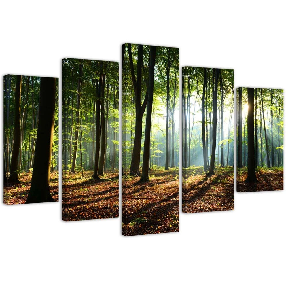 Five piece picture canvas print, Sunrays in the forest