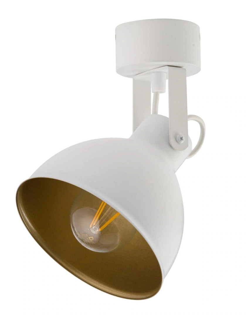 Mars Ceiling Light Black with Gold