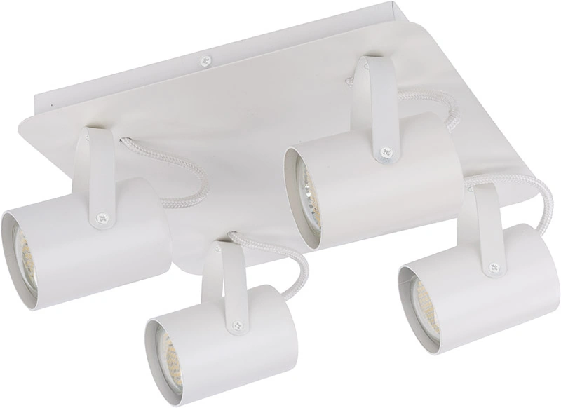 Camera Ceiling Light 4 White