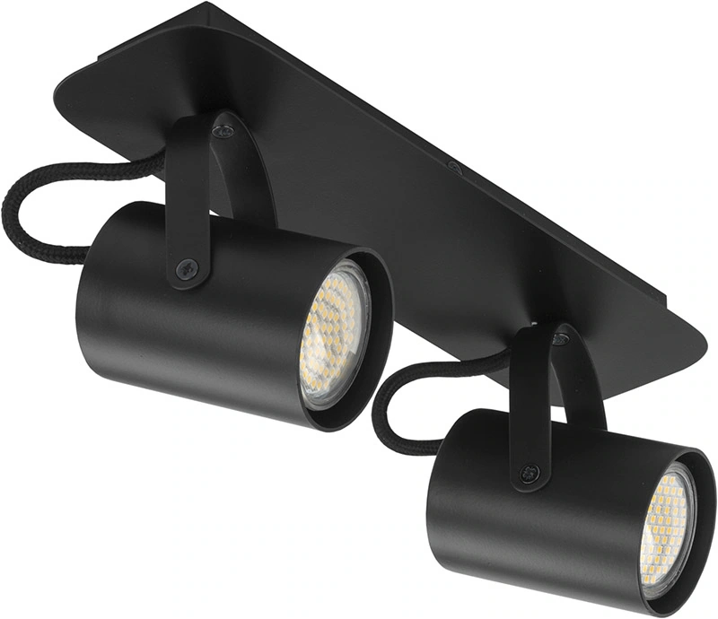 Camera Ceiling Light 2 Black