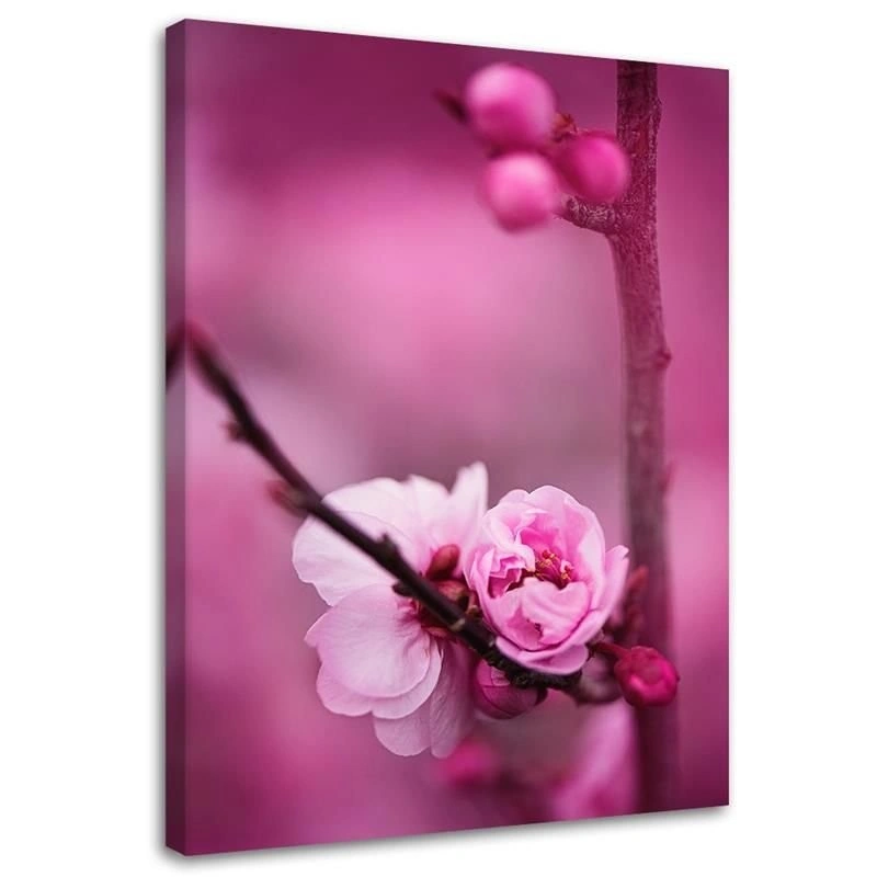 Canvas print, Pink flower and buds on a branch