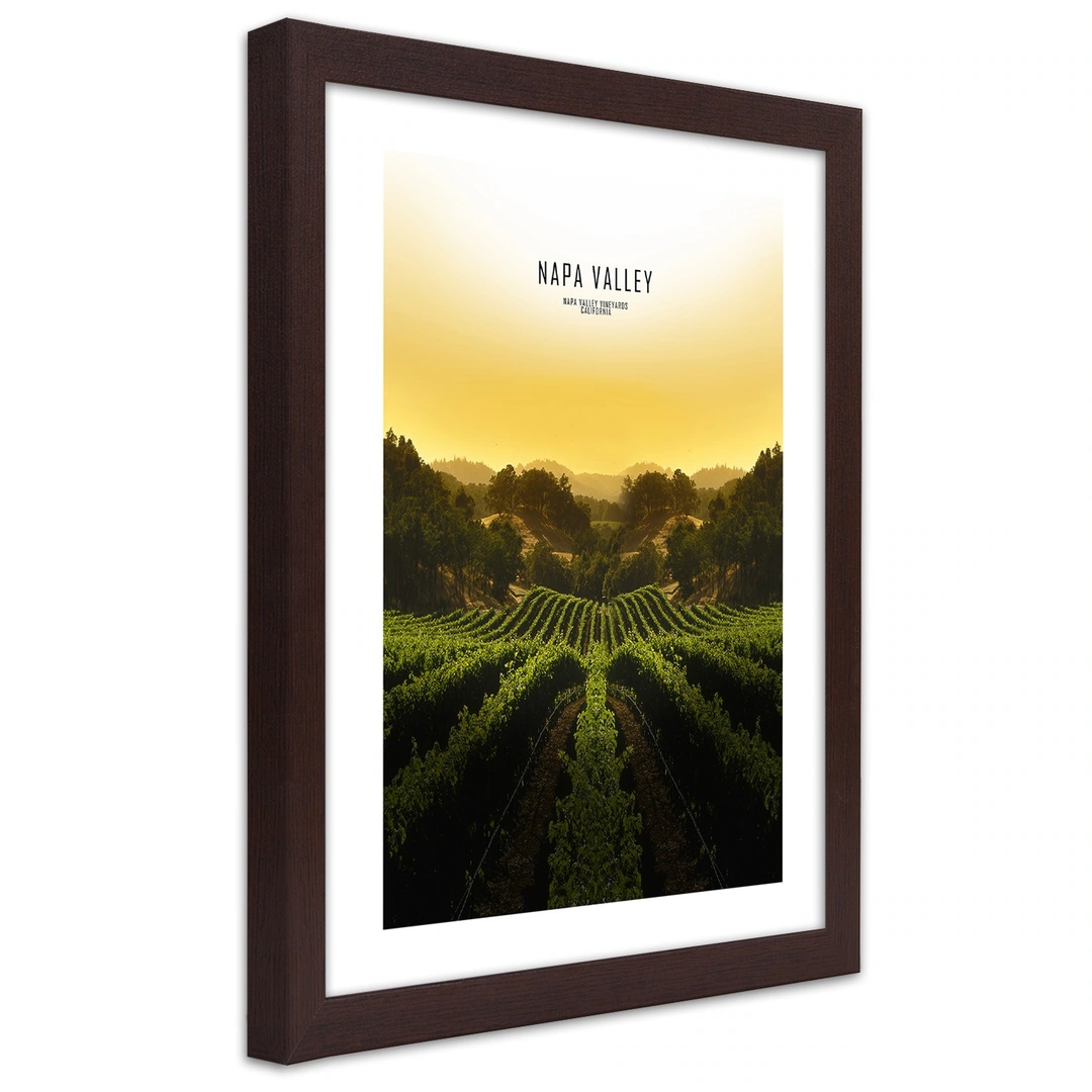 Picture in frame, Vineyards in napa vallley