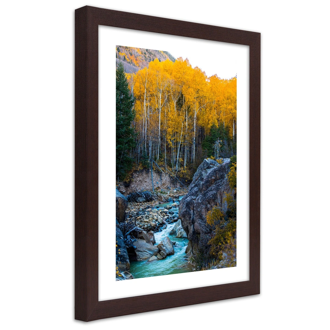 Picture in frame, A stream in the forest