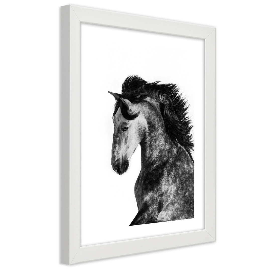 Picture in frame, Wild steed