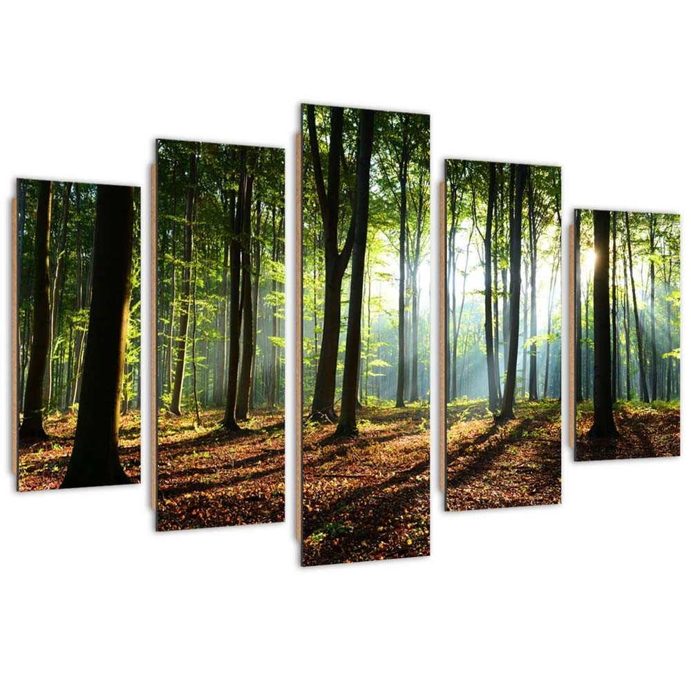 Five piece picture deco panel, Sunshine in the forest