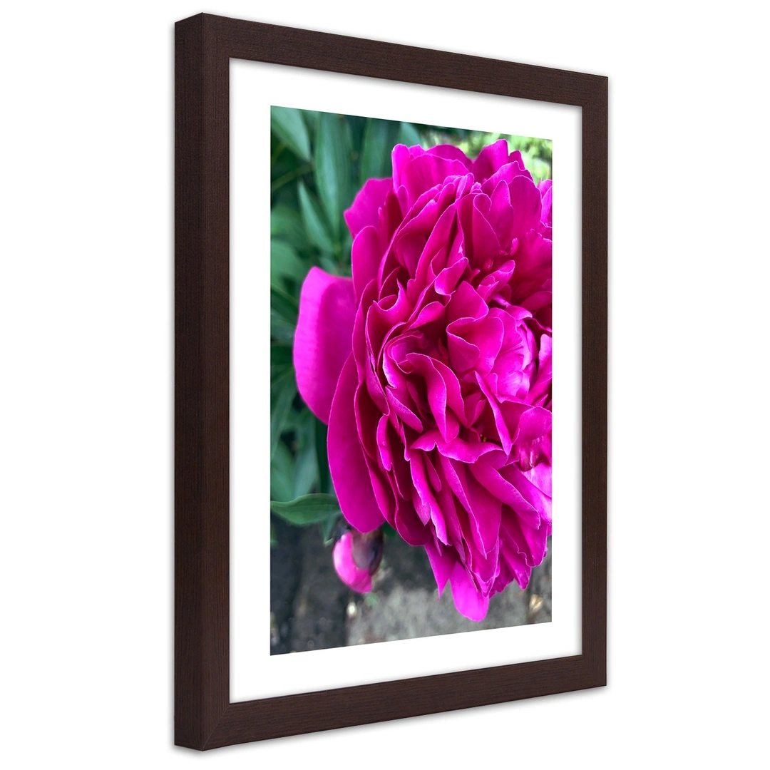 Picture in frame, Pink large flower